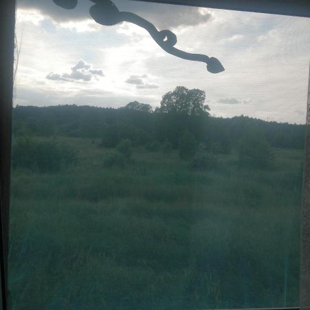 Ostoja Apartment Bialowieza Bagian luar foto