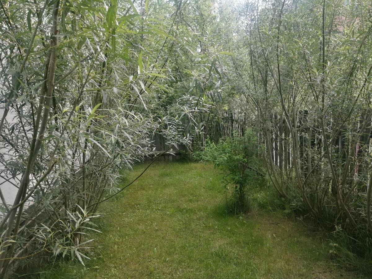Ostoja Apartment Bialowieza Bagian luar foto