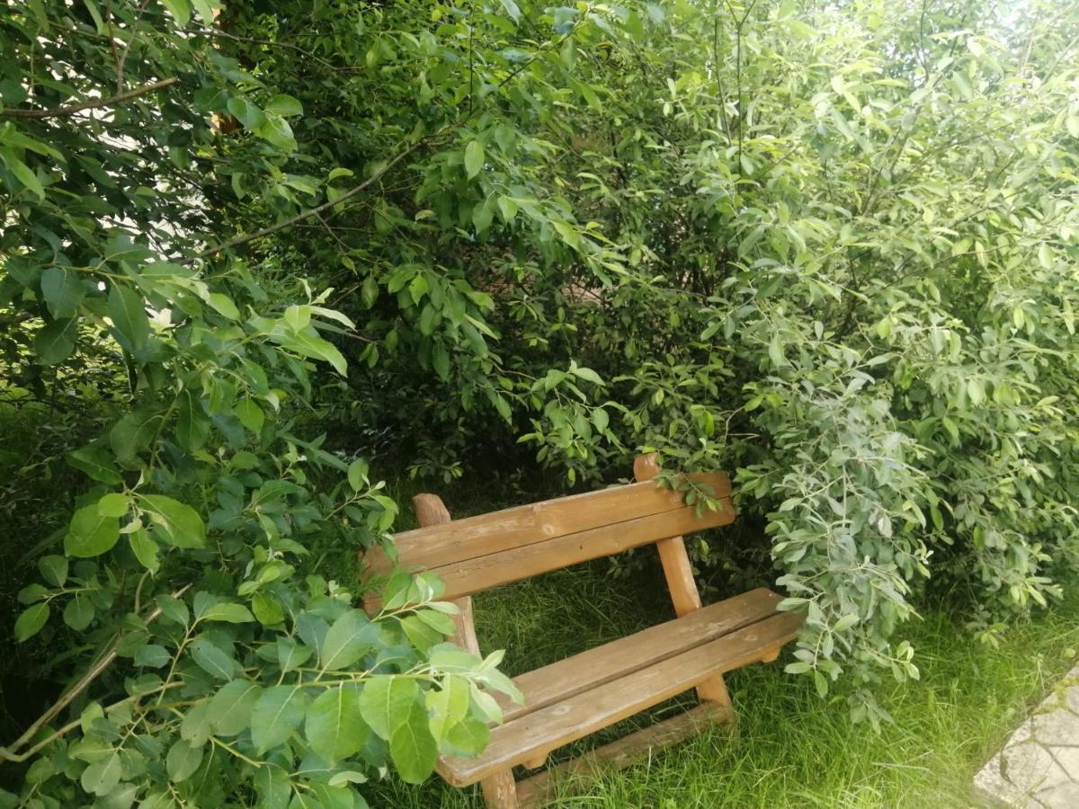 Ostoja Apartment Bialowieza Bagian luar foto