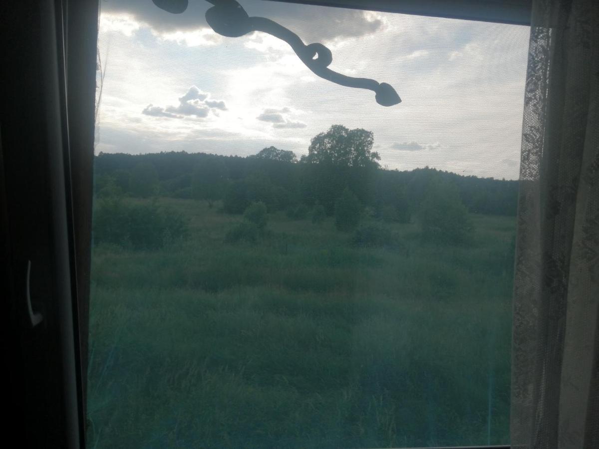 Ostoja Apartment Bialowieza Bagian luar foto