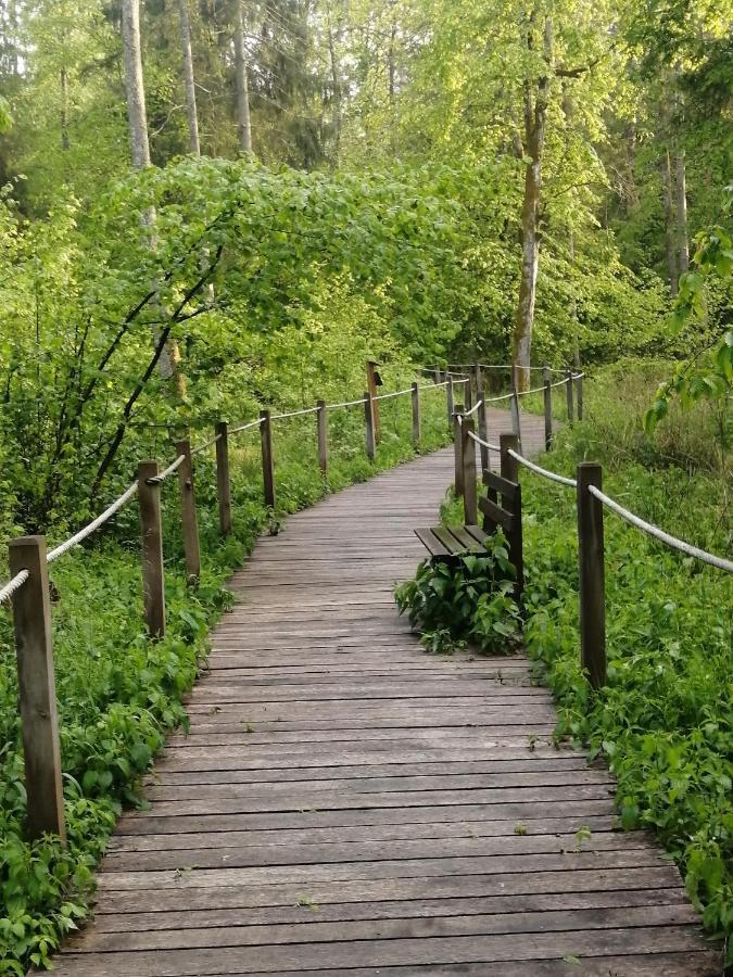 Ostoja Apartment Bialowieza Bagian luar foto