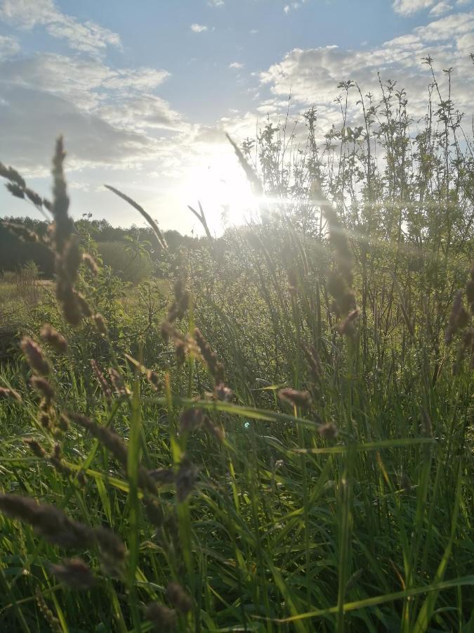 Ostoja Apartment Bialowieza Bagian luar foto