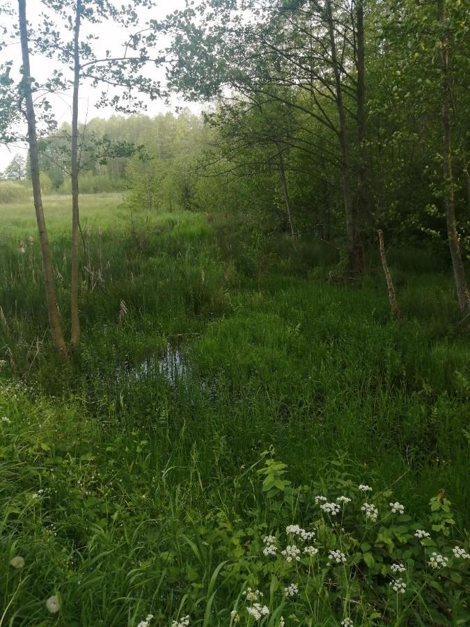 Ostoja Apartment Bialowieza Bagian luar foto