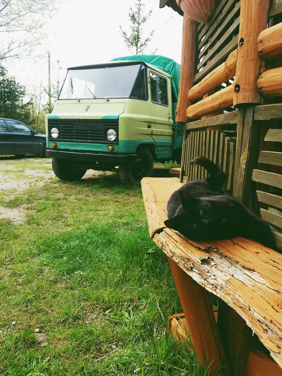 Ostoja Apartment Bialowieza Bagian luar foto
