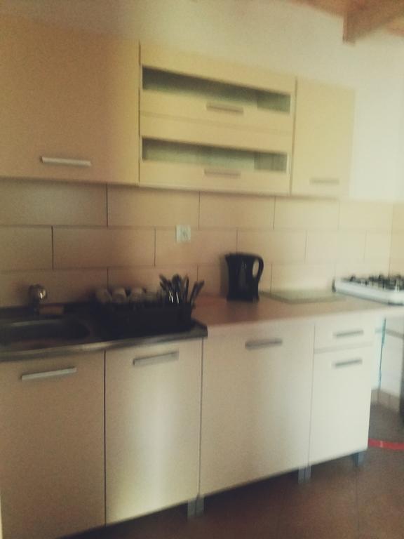 Ostoja Apartment Bialowieza Bagian luar foto